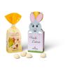 Lindt Frühlingssnacking in Osterkartonage ohne Werbeanbringung