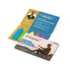 Haftmarker-Set Multi-Card Umschlag mikroperforiert 85 × 55 mm | ohne Werbeanbringung | ohne Werbeanbringung | Pfeil/Folie | matt