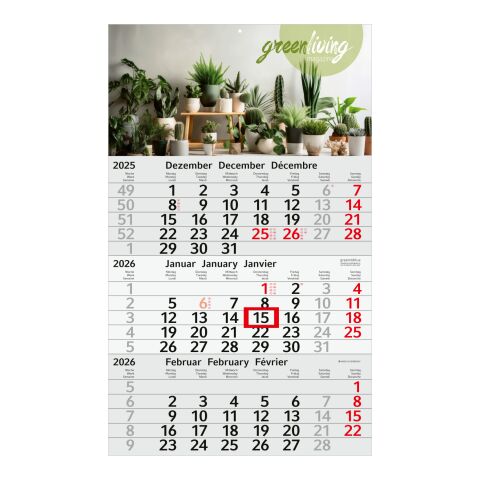 3-Monatskalender Budget 3 Recycling (Einblatt) Hellgrau-rot | ohne Werbeanbringung | Rot