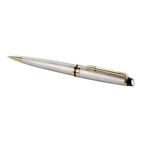 Waterman Expert Design Kugelschreiber