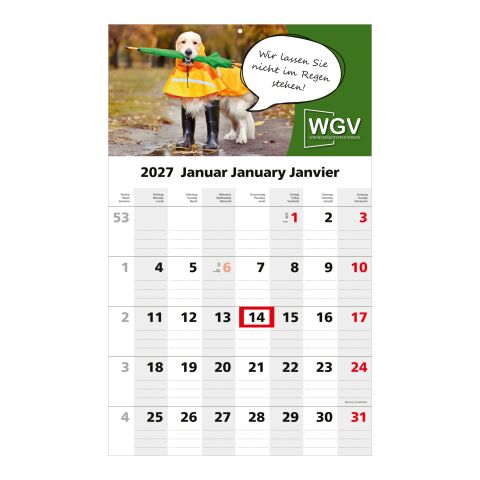 1-Monatskalender Einblatt Solo 1 EXPRESS