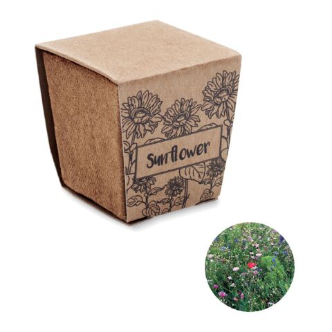 Pflanz-Set Sonnenblume beige | ohne Werbeanbringung | Nicht verfügbar | Nicht verfügbar | Nicht verfügbar