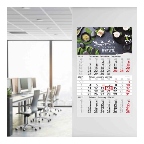 3-Monatskalender Budget 3 EXPRESS Schrift modern Hellgrau | 300 × 490 mm | ohne Werbeanbringung