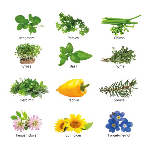 Adventskalender ECO L mit Samentütchen ohne Werbeanbringung