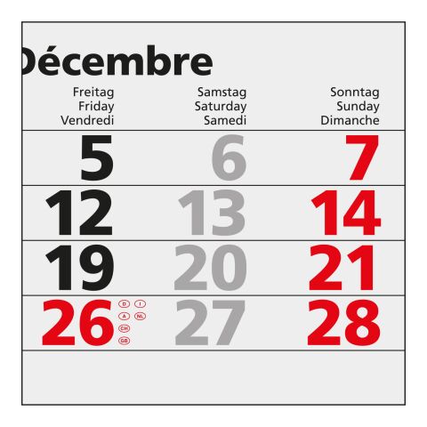 5-Monatskalender Einblatt Quintus 5 EXPRESS Monate gleich groß Hellgrau | 300 × 640 mm | ohne Werbeanbringung