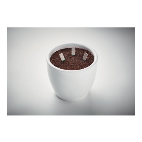 Kräutersamen-Sticks beige | ohne Werbeanbringung | Nicht verfügbar | Nicht verfügbar | Nicht verfügbar