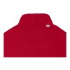 Spinel Kapuzenpullover Unisexs rot | XXL