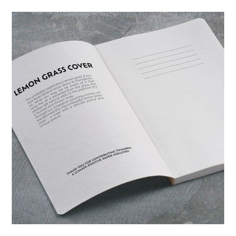 Dostoevsky A5 Notizbuch aus Zitronengras. 196 Seiten aus 80gsm recy.Papier Hellgrün | ohne Werbeanbringung | Nicht verfügbar | Nicht verfügbar | Nicht verfügbar