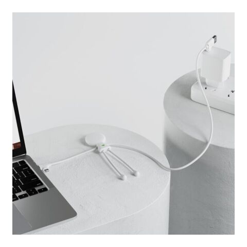 2089 | Xoopar Mr. Bio Long Power Delivery Cable with data transfer regenbogenfarben | ohne Werbeanbringung | Nicht verfügbar | Nicht verfügbar | Nicht verfügbar