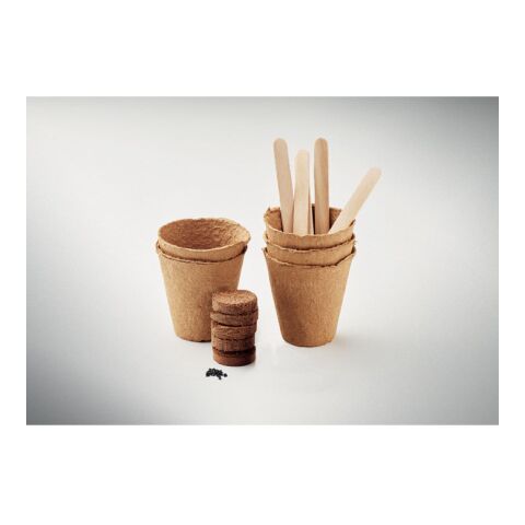 Saat-Set Sommerblumen beige | ohne Werbeanbringung | Nicht verfügbar | Nicht verfügbar | Nicht verfügbar