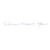 Waterman HEMISPHERE BLACK Stift silber