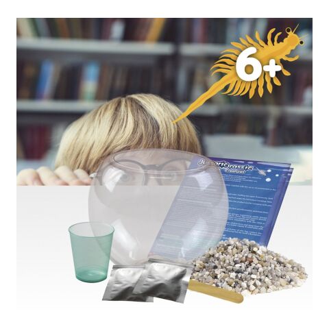 Jurassic Pets Kit I. Lernspiel für Kinder Gemischt